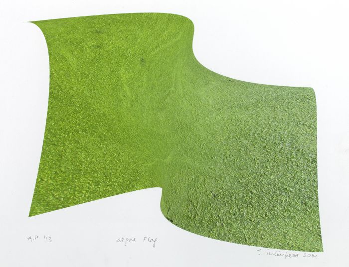 Click the image for a view of: fruitleafalgaestone: guild flag algae flying. 2014. Giclee print. Edition 20
